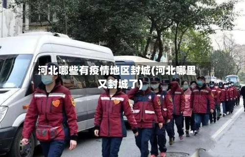 河北哪些有疫情地区封城(河北哪里又封城了)-第2张图片
