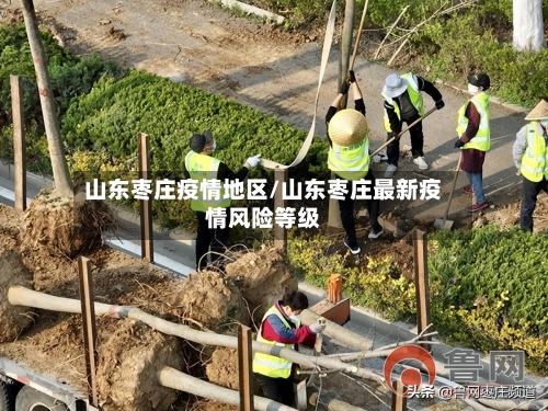 山东枣庄疫情地区/山东枣庄最新疫情风险等级-第3张图片