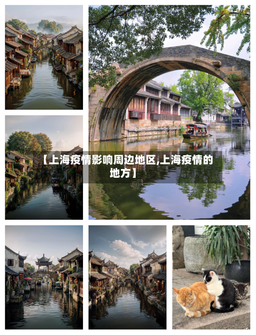 【上海疫情影响周边地区,上海疫情的地方】